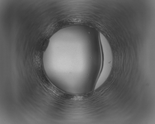 X0000060240609200511241335