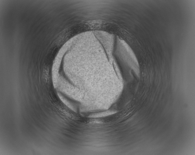 X0000060240610200511241335