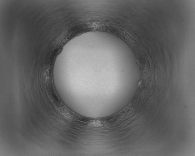X0000060240611200511241335