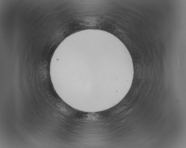 X0000060240612200511241335