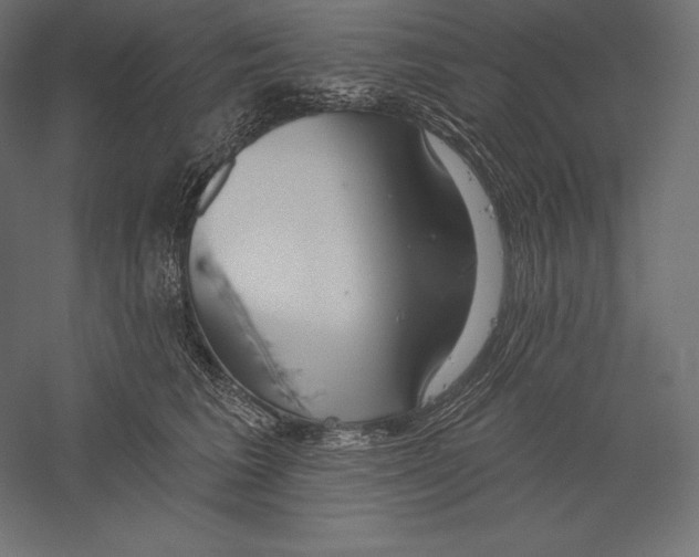 X0000060240613200511241335