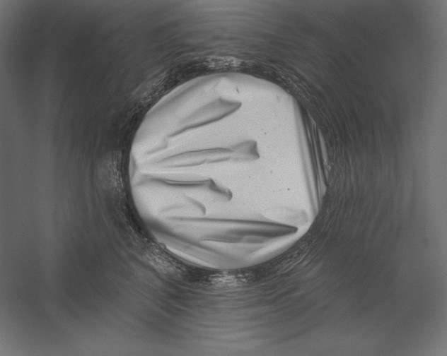 X0000060240616200511241335