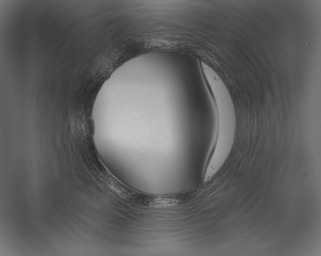 X0000060240617200511241335