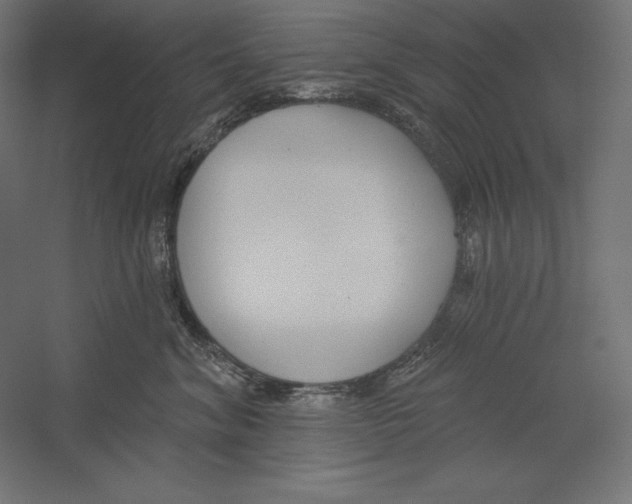 X0000060240620200511241335