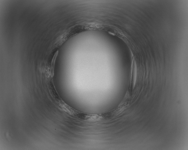 X0000060240621200511241335