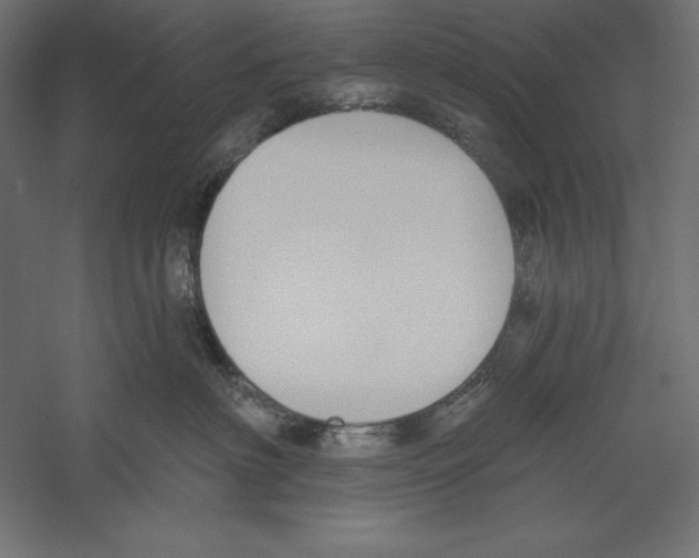 X0000060240622200511241335