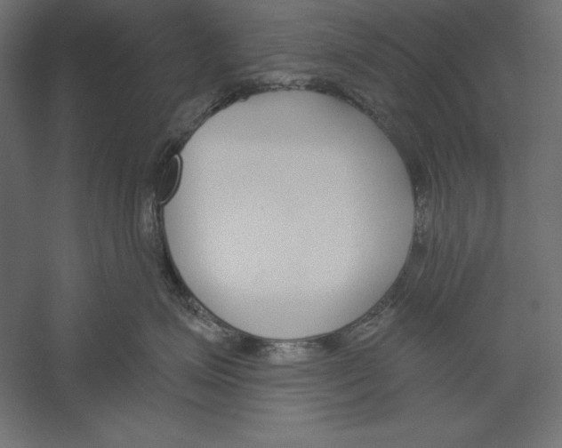 X0000060240623200511241335
