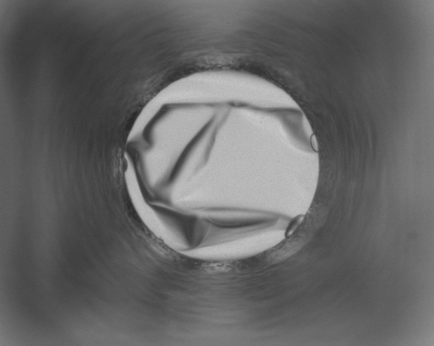 X0000060240624200511241335