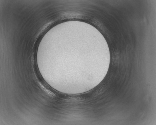 X0000060240629200511241334