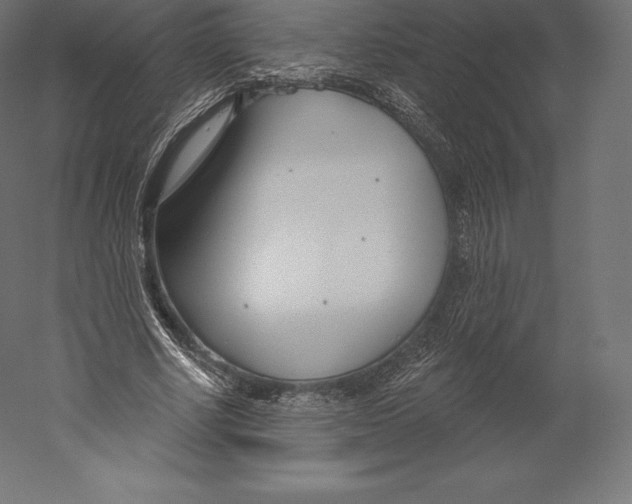 X0000060240634200511241334