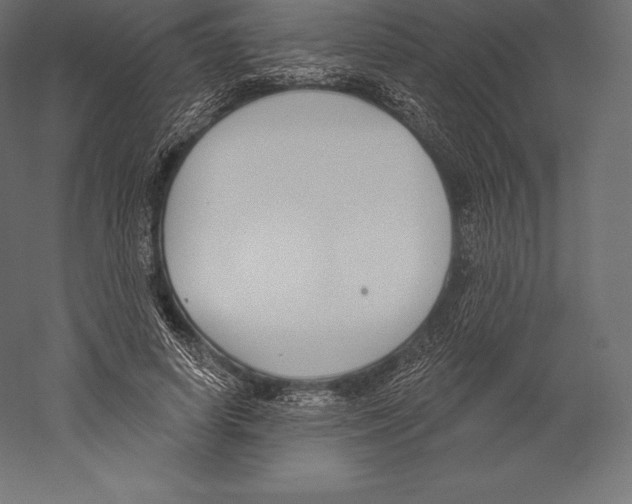 X0000060240642200511241334