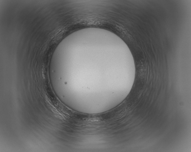 X0000060240643200511241334