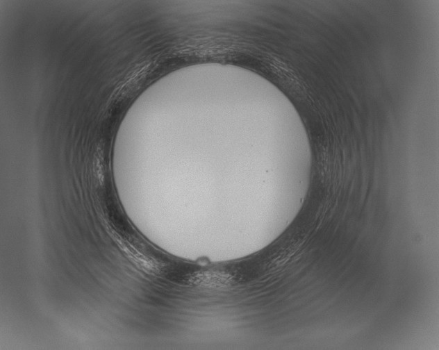 X0000060240644200511241334