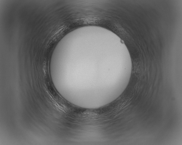 X0000060240648200511241335