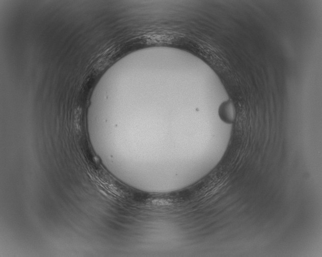 X0000060240649200511241335
