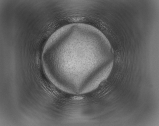 X0000060240651200511241335