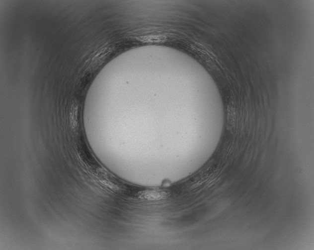 X0000060240652200511241335