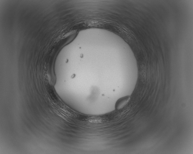 X0000060240653200511241335