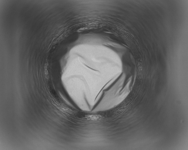 X0000060240654200511241335