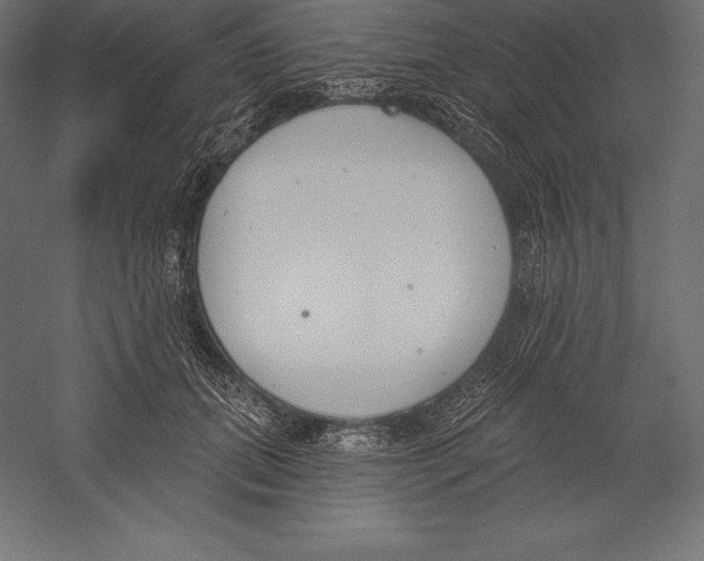 X0000060240655200511241335