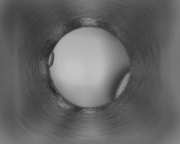 X0000060240658200511241335