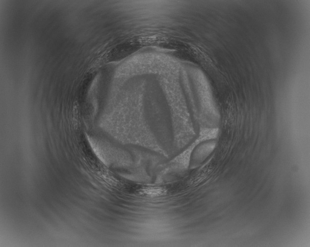 X0000060240659200511241335
