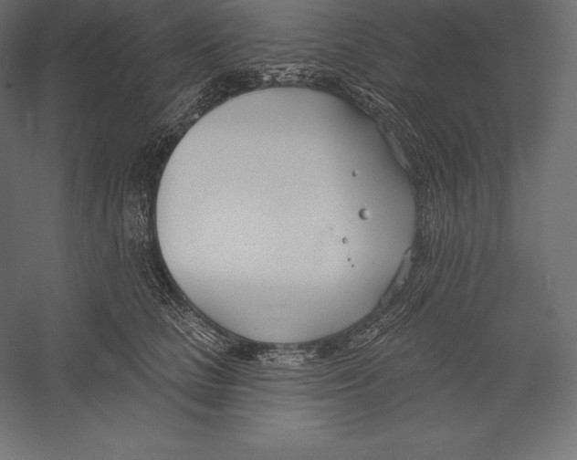 X0000060240661200511241335