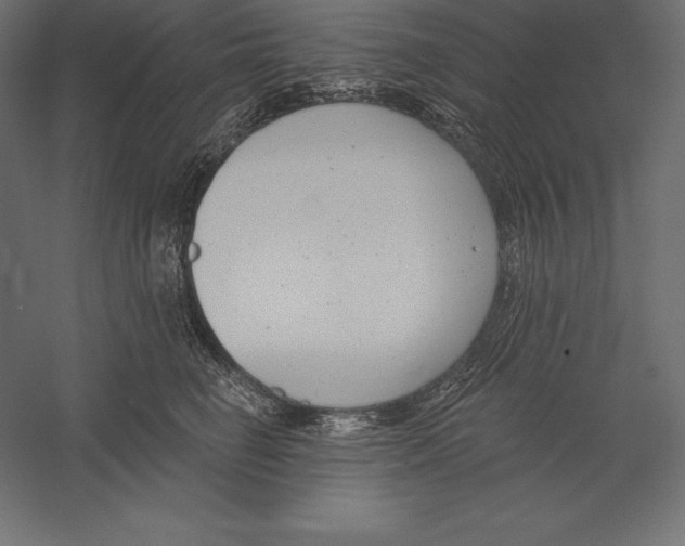 X0000060240662200511241335