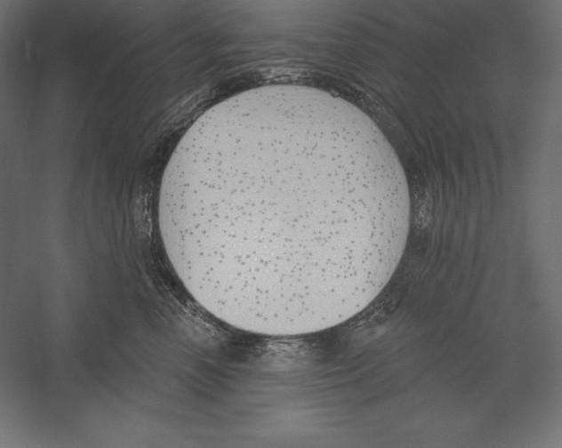 X0000060240666200511241335