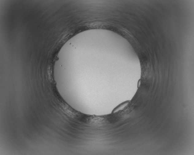 X0000060240669200511241335