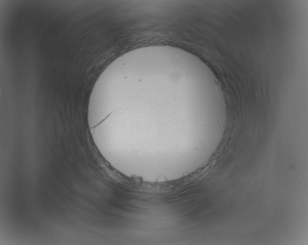 X0000060240672200511241335