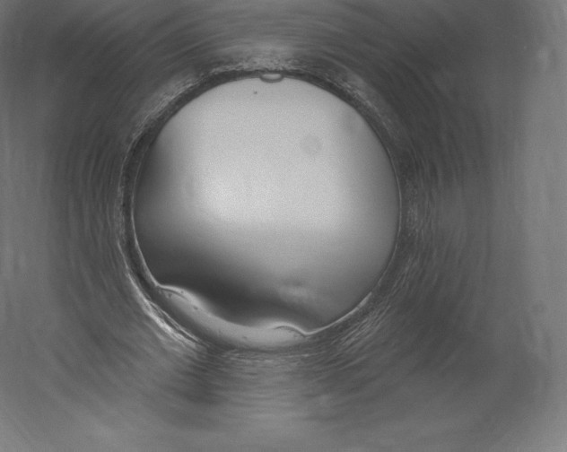 X0000060240677200511241334