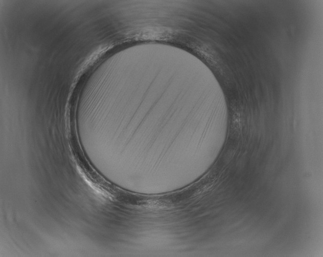 X0000060240678200511241334