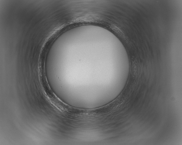 X0000060240680200511241334
