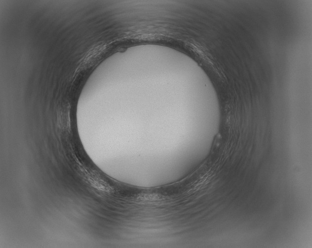 X0000060240685200511241334