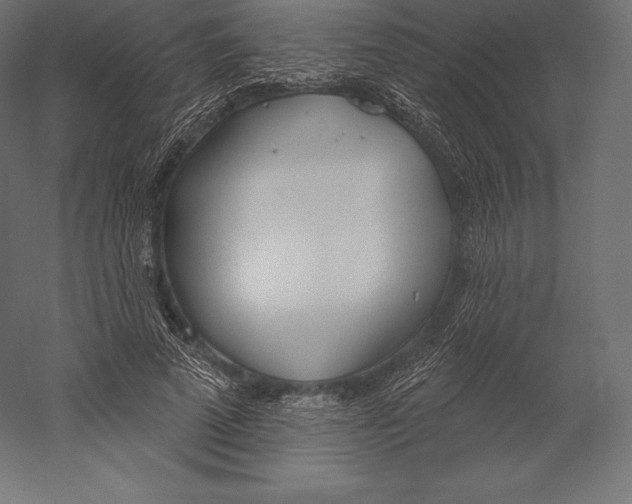 X0000060240689200511241334