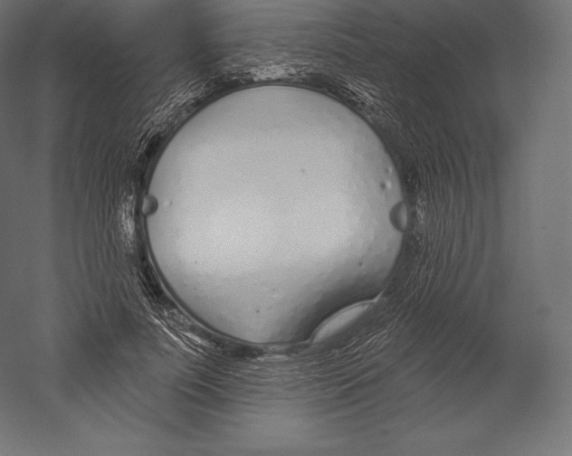 X0000060240691200511241334