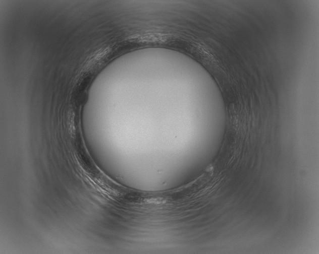 X0000060240692200511241334