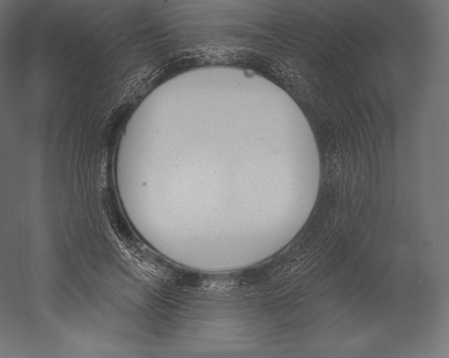 X0000060240694200511241334