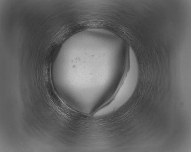 X0000060240696200511241334