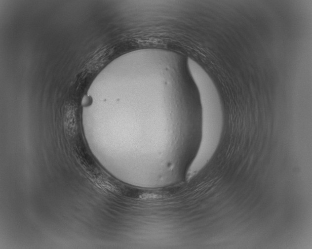 X0000060240699200511241334