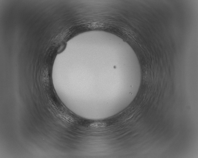X0000060240700200511241334