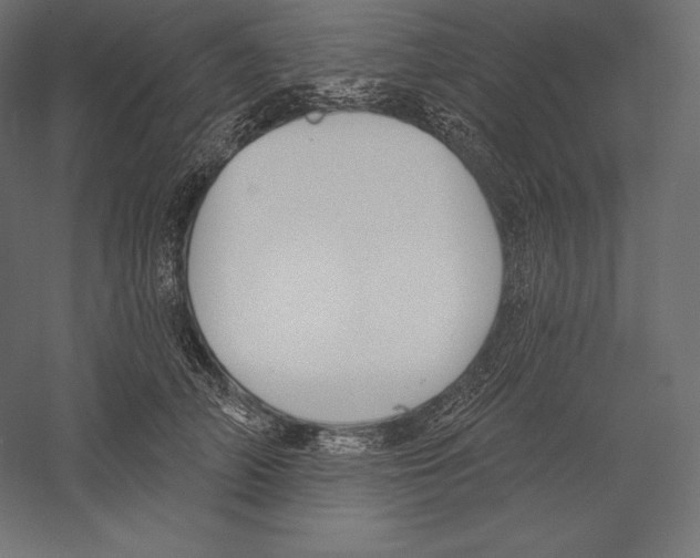 X0000060240706200511241334