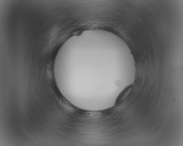 X0000060240719200511241333