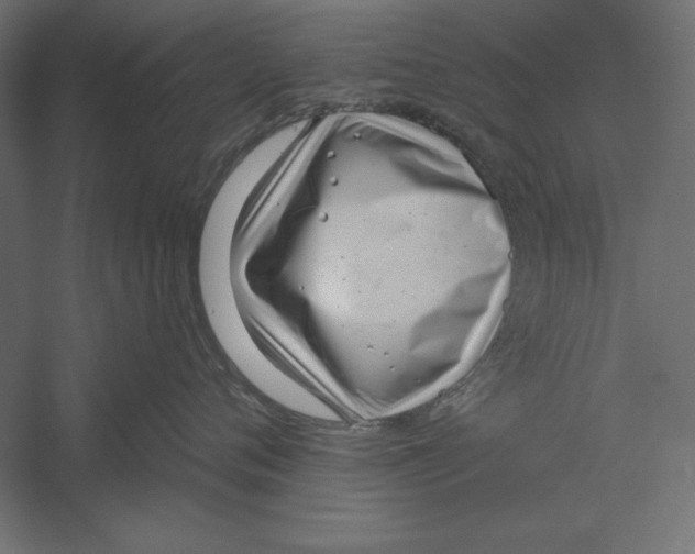 X0000060240720200511241333