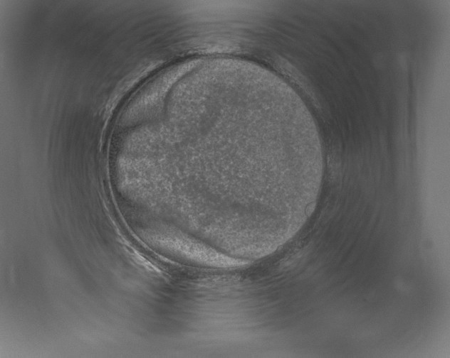 X0000060240721200511241332