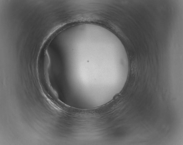X0000060240722200511241332