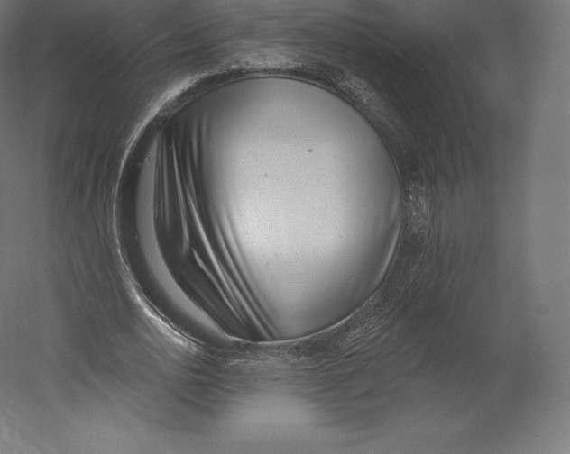 X0000060240726200511241333