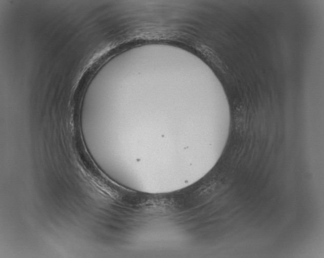 X0000060240727200511241333