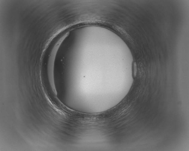 X0000060240728200511241333